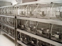 動物實驗室建設核心